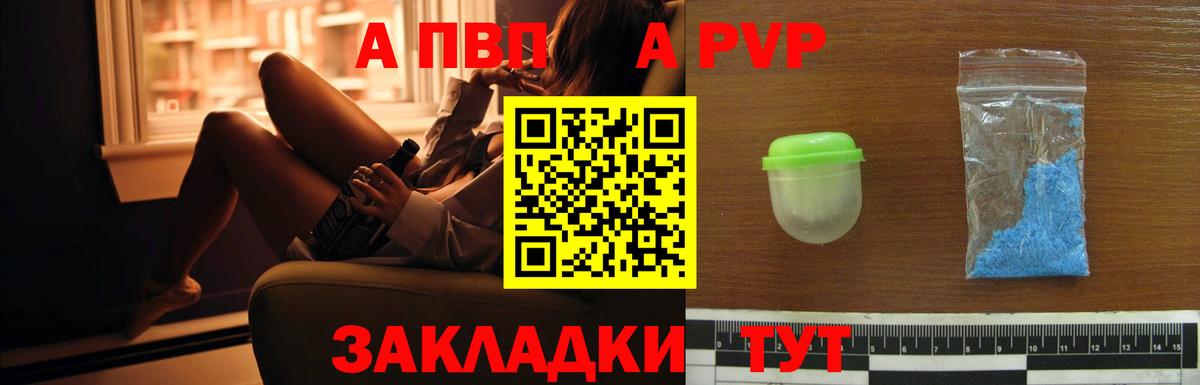A PVP СК Новороссийск